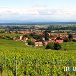 Vignes et villages d'Alsace