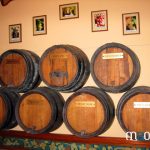 les cépages de la route du vin d'Alsace