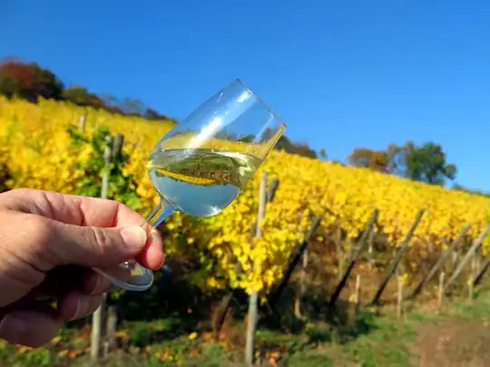 Dégustation sur la route des vins avec le viticulteur