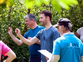 Team building Alsace - Olympiade et lancer de mini-hache