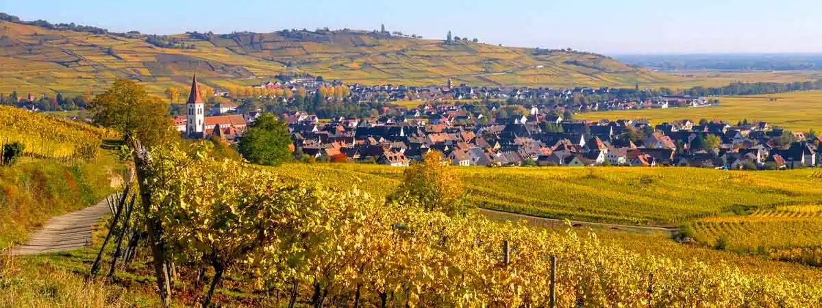 Team building alsace - route des vins